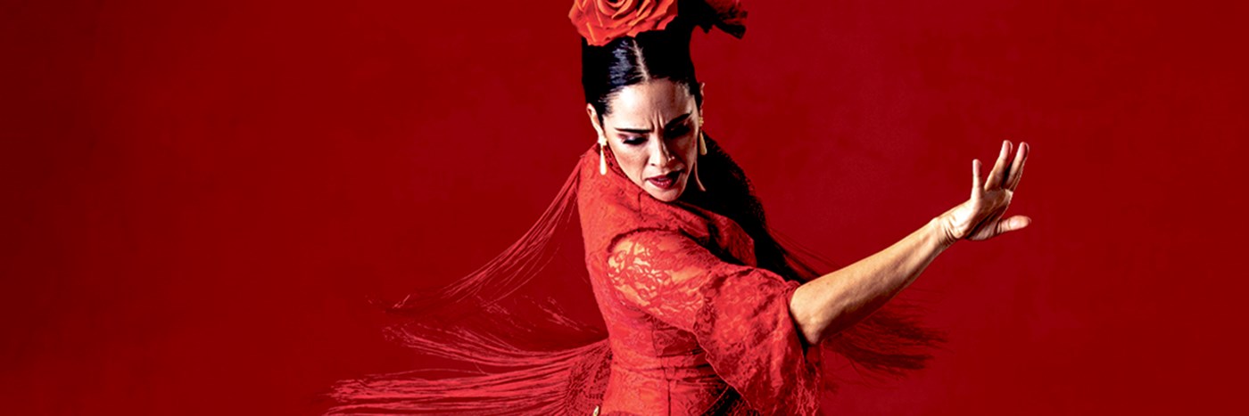 Flamenco Passion Web Oversigt